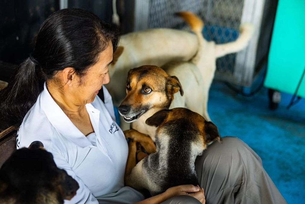 「ペットだって家族じゃないか……動物連れの被災者を助けたいんだ」現地の動物保護施設からSOS