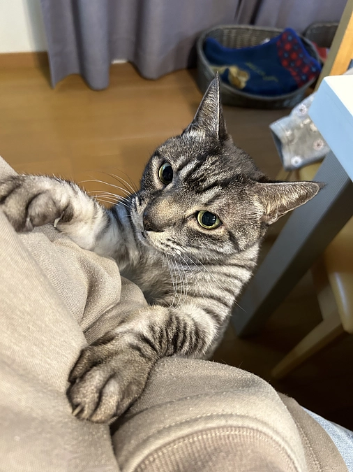 2025年もどうぞよろしくお願いします！