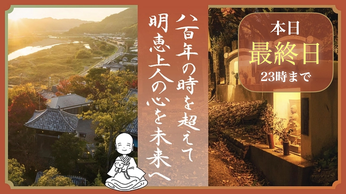 よいよカウントダウン！残り12時間、最後まで応援お願いします！