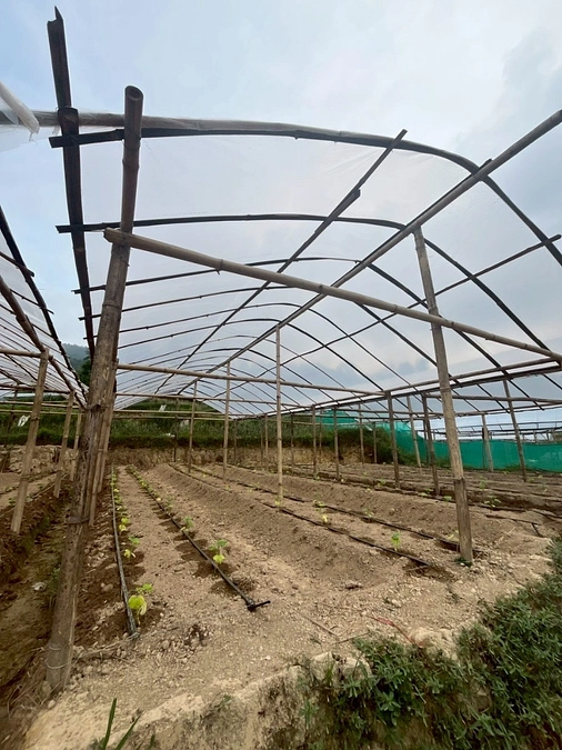 【ビニールトンネル完成のお知らせ】