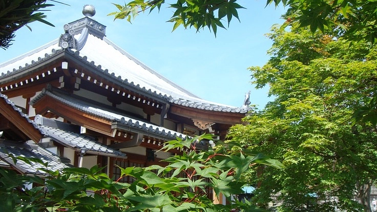 未来に文化財を伝える為　お寺の仏像・仏画・聖教の図録を作りたい