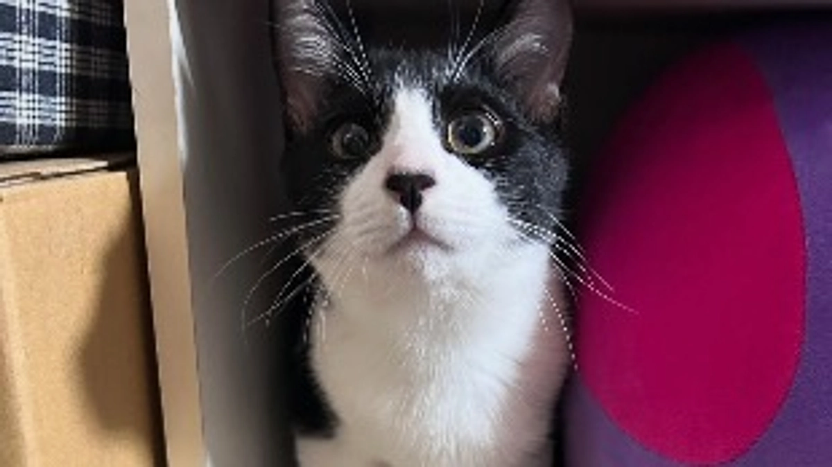 11月22日 〜 日常報告14 〜保護から91日目