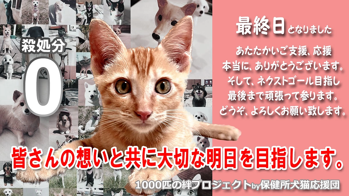 【本日最終日】あたたかいご支援、応援を本当にありがとうございました!!