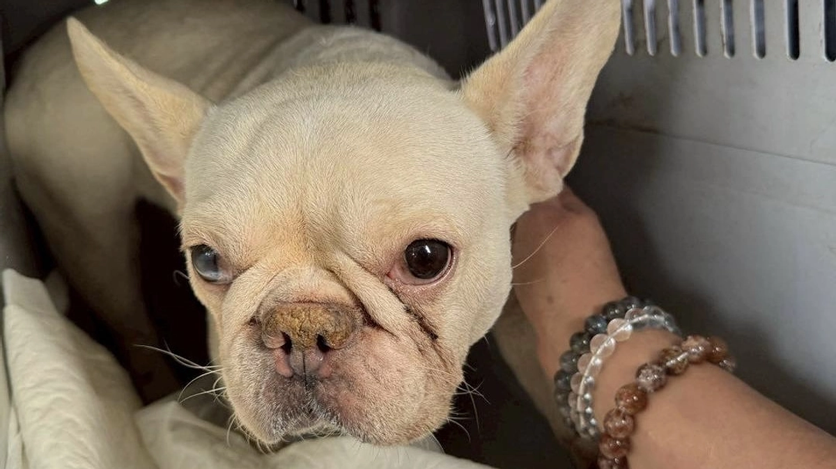 プロジェクト開始！1日目からご支援ありがとうございます！