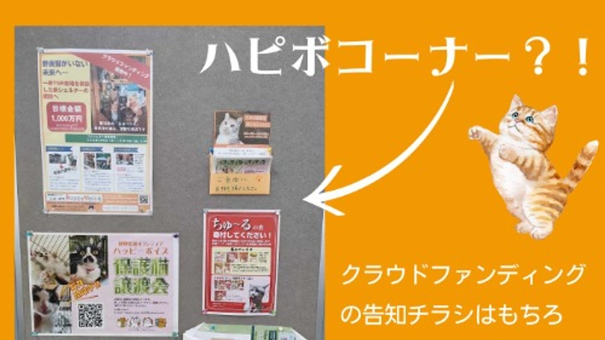 【900万円突破に感謝！】皆様に支えられて活動ができております！