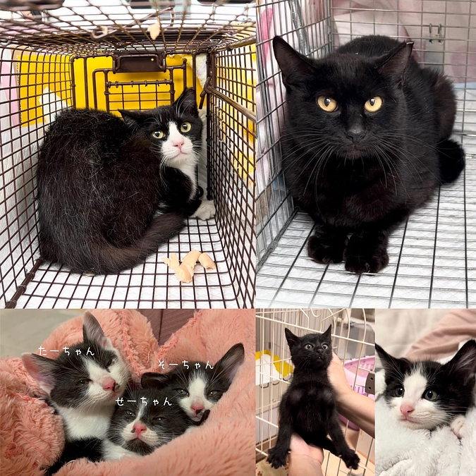 まだまだ、続く！