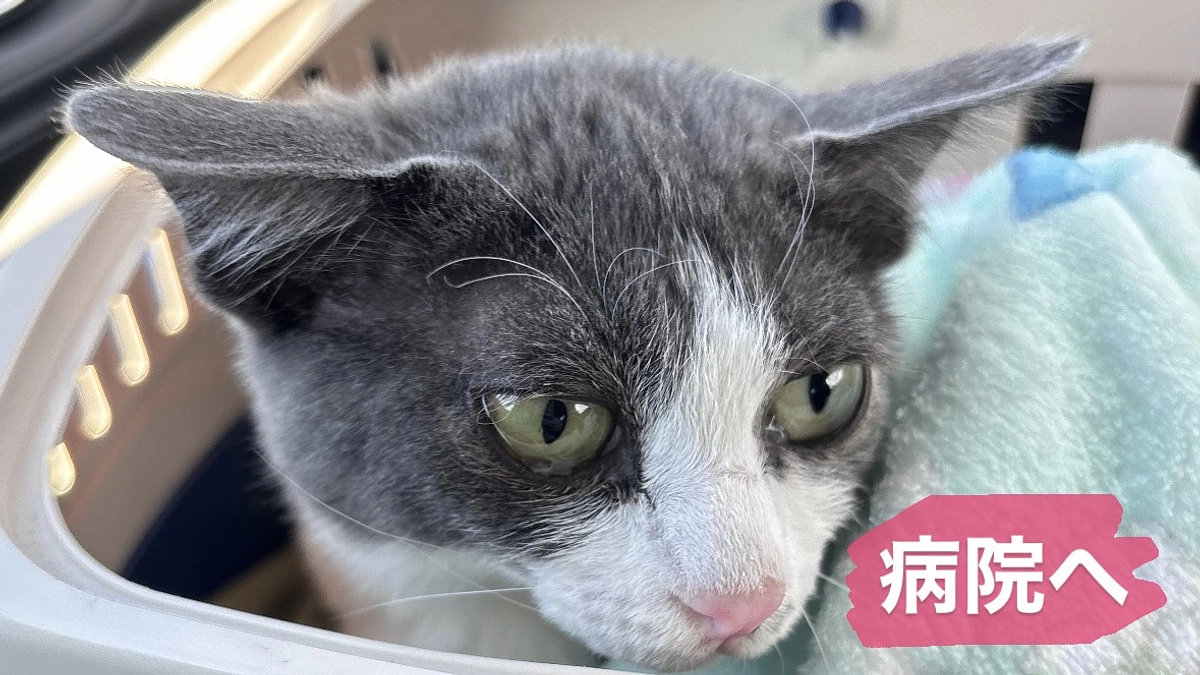 今から病院へ行ってきます！