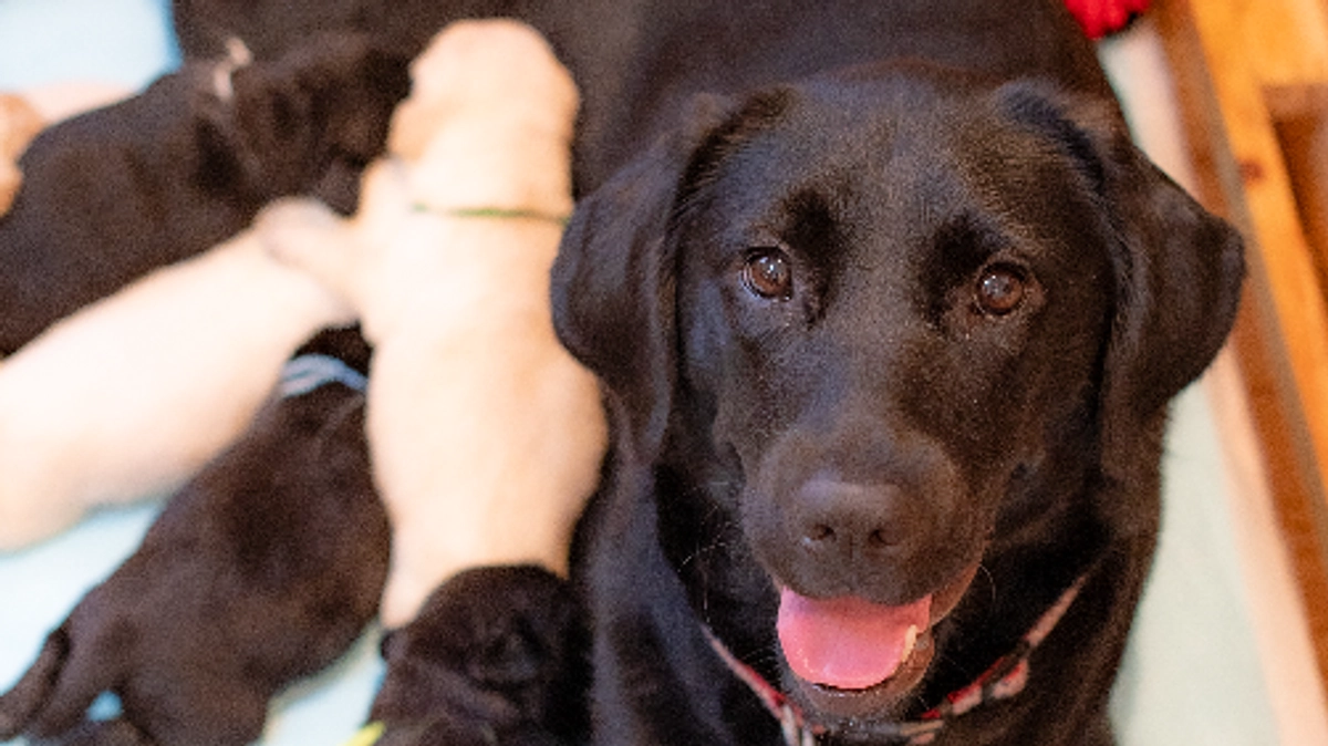 新しい命を守る