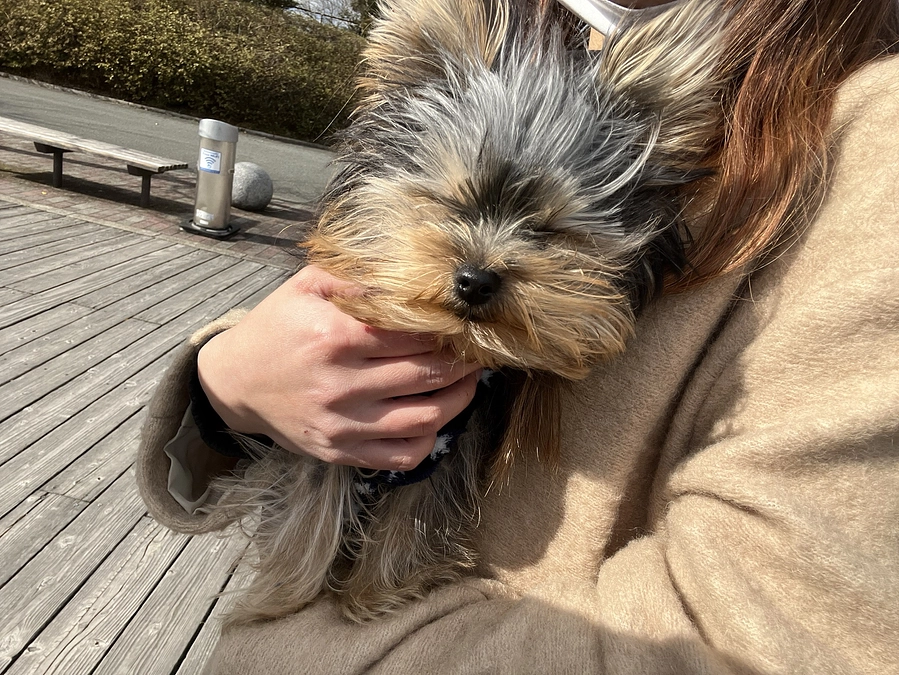 豆太郎うんち事件発生