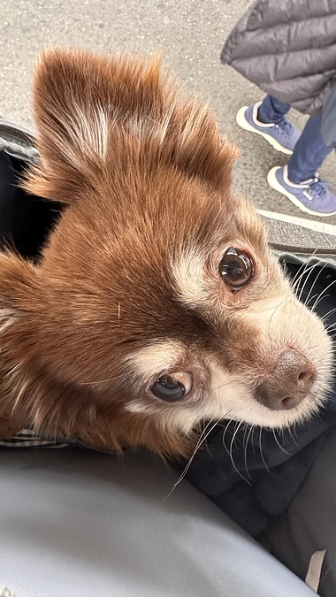 術後3ヶ月検診に行ってきました