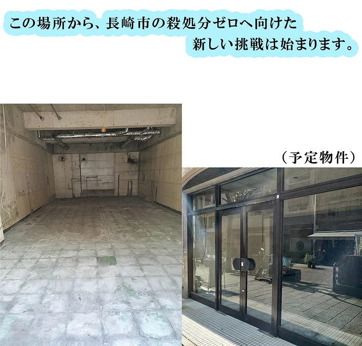 この場所から多くの保護猫さんに明るい未来を！！新しい家族を！！