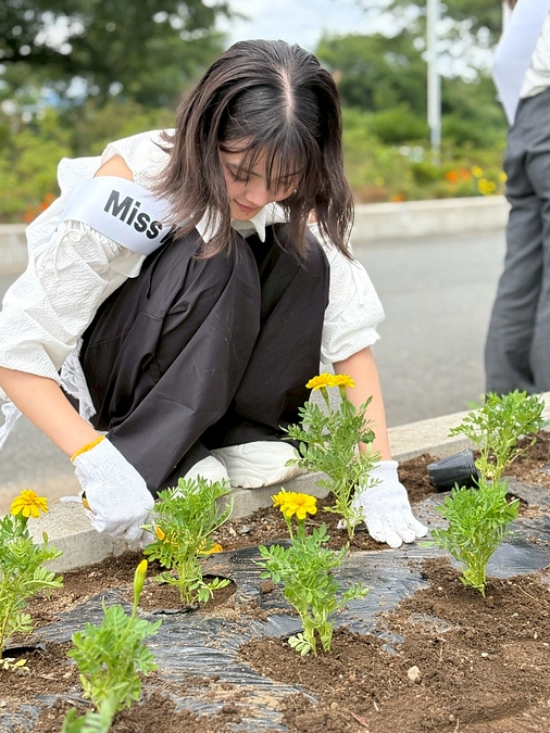 マリーゴールド