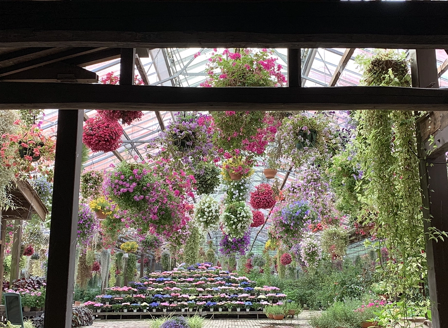 花さん推しの皆様へ、社長から最終日のお礼とお願い。