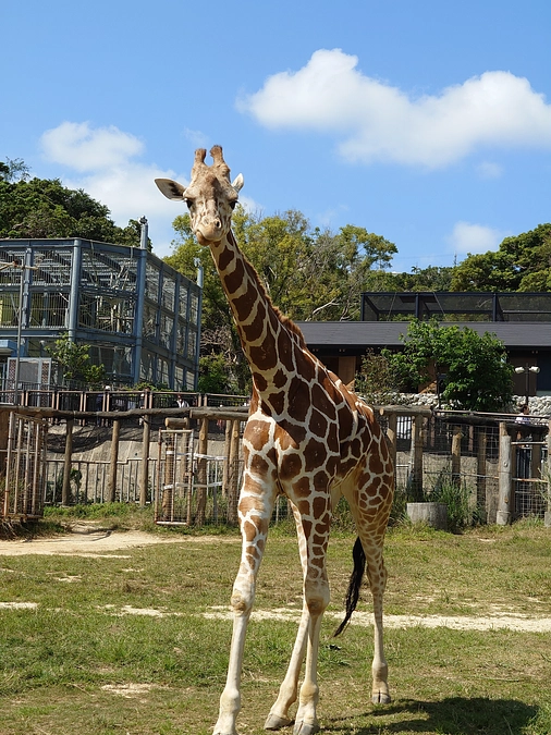ようこそ沖縄こどもの国へ！