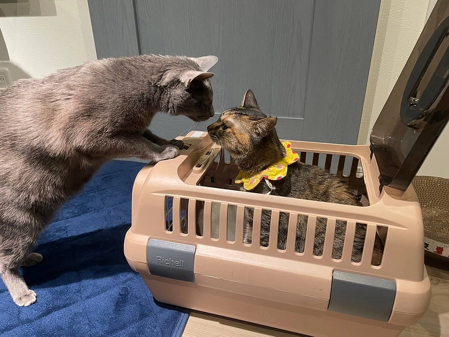 ２月１５日は、水沢ちゃんのお届けでした♪