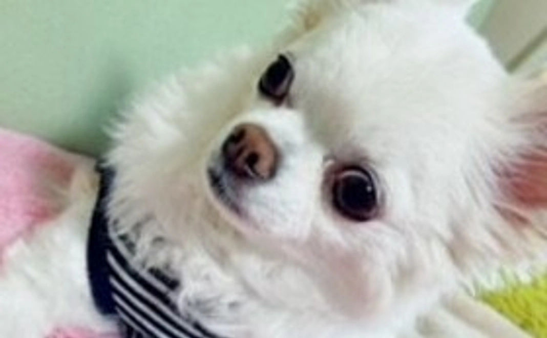 ミルクを応援！②