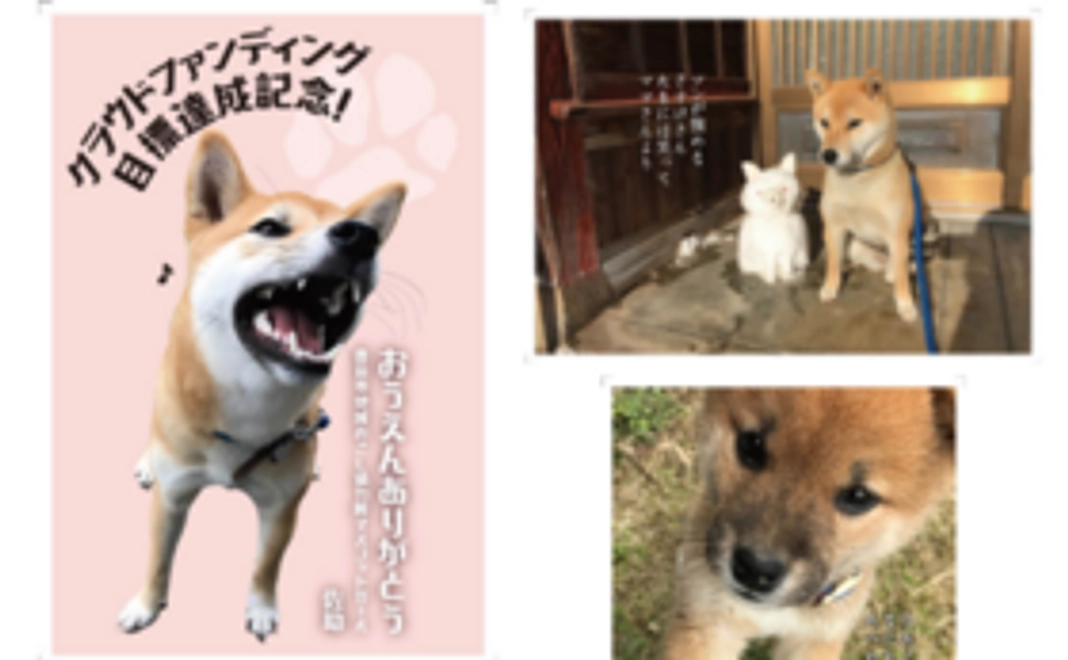 【達成記念】達成記念ポストカード＋いちじくスパークリング3本