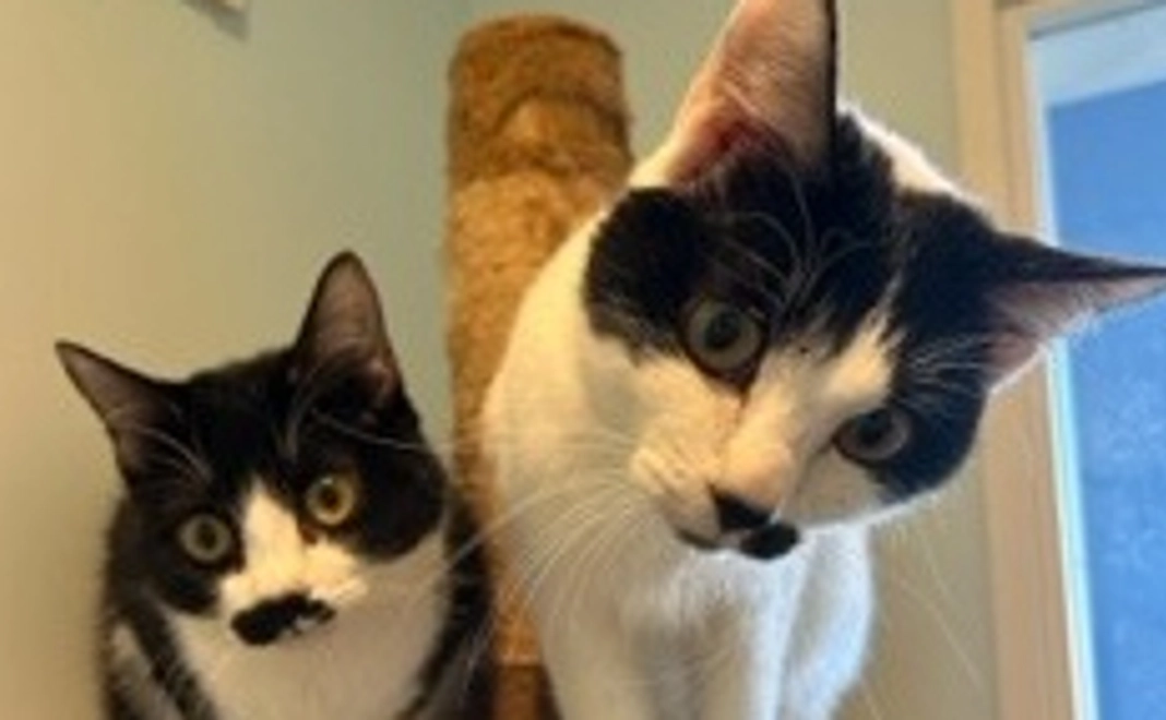 一回分のお薬でも助かるその子がいるんです!