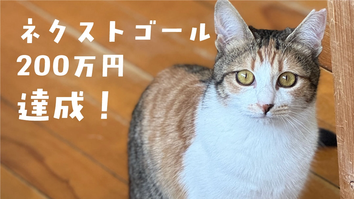 ネクストゴール達成！たくさんのご賛同誠にありがとうございます！