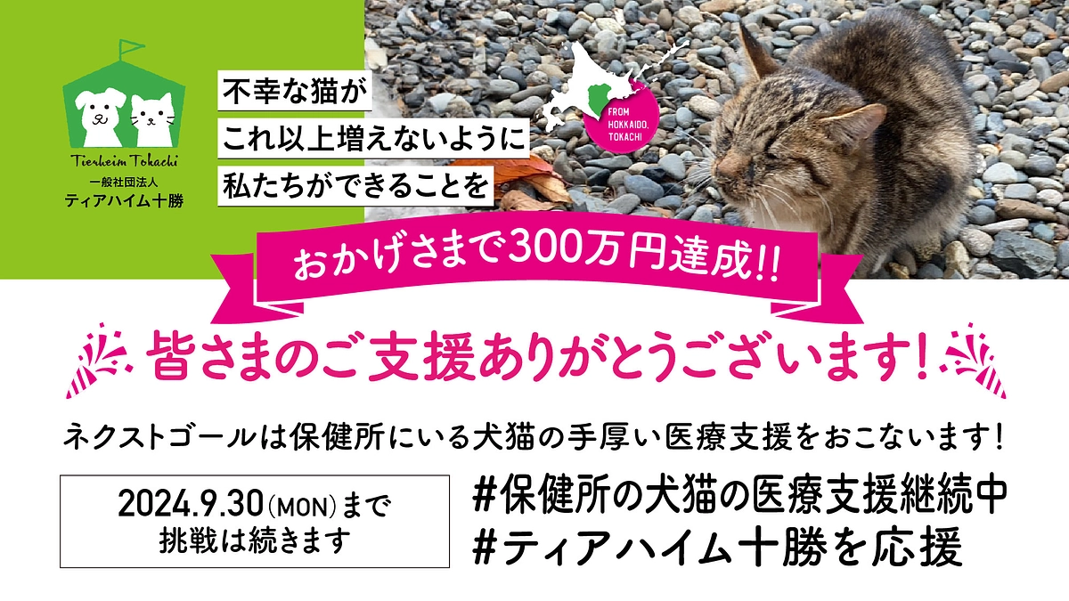 第一目標金額達成のお礼とネクストゴールについて