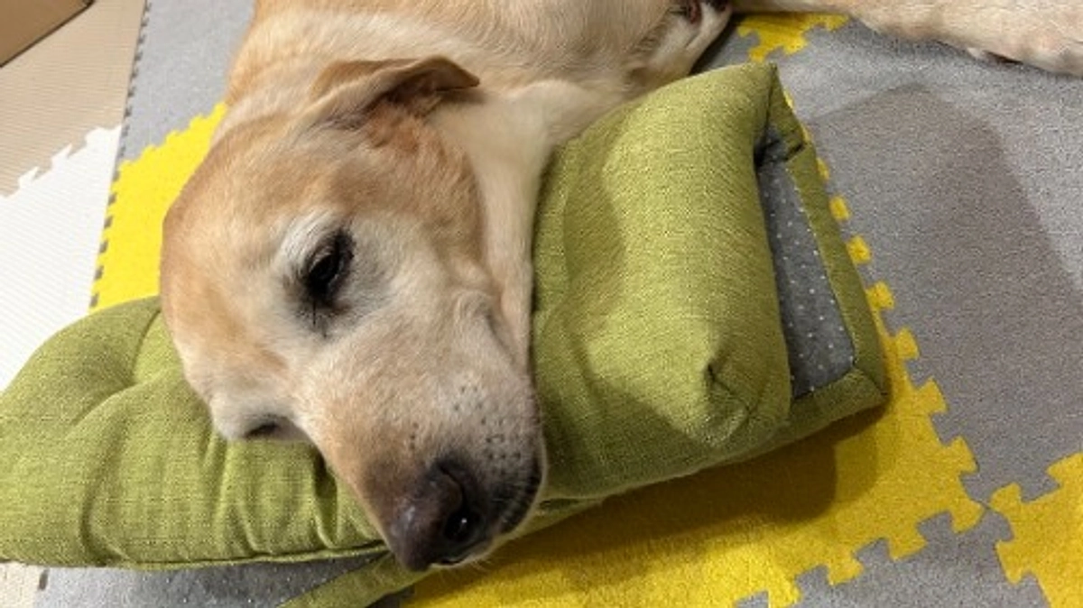 いろいろとご報告です