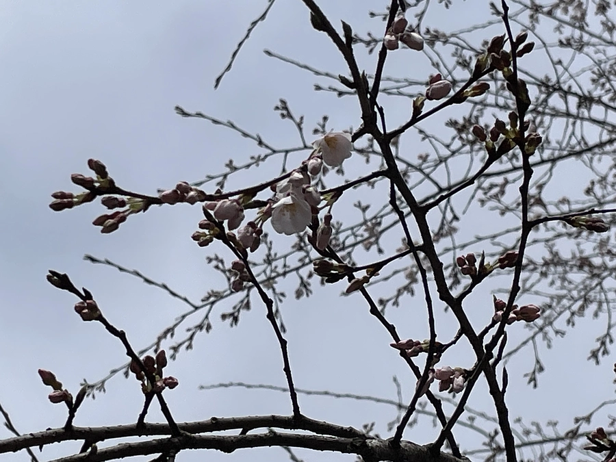 農場に仲間（実はご寄付者でした）が増えました！