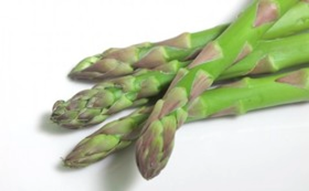 とれたてアスパラをお送りします！