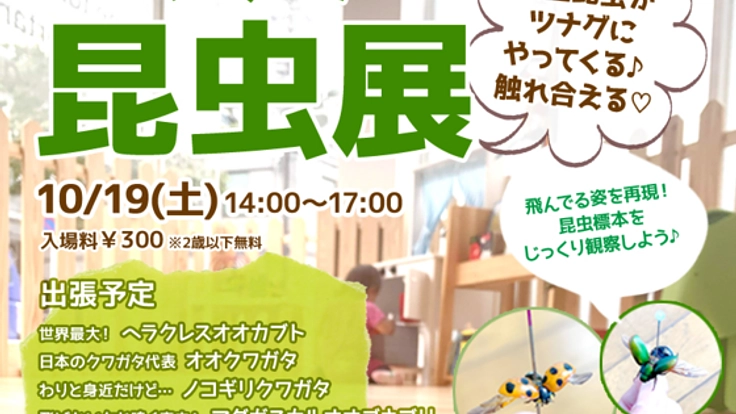 ツナグ昆虫展！大型昆虫がやってくる！触れ合える♪