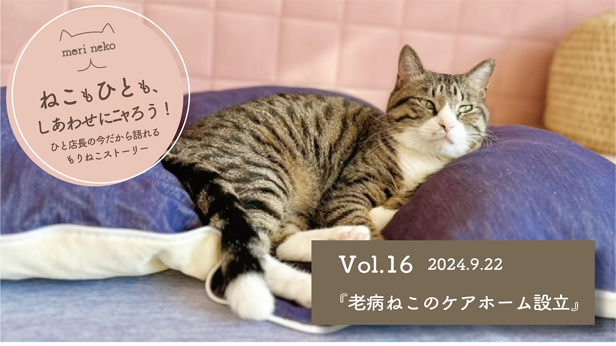 ねこもひとも、しあわせにﾆｬろう！vol.16『老病ねこのケアホーム設立』