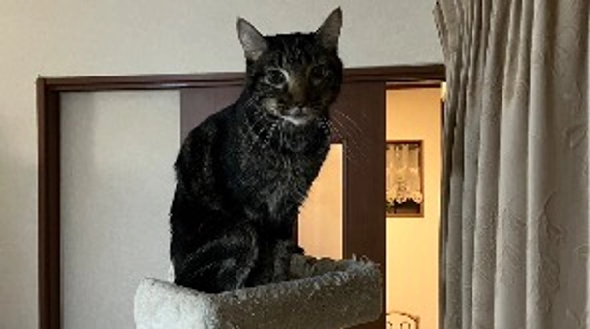 4回目の抗がん剤治療のご報告&ご支援の感謝