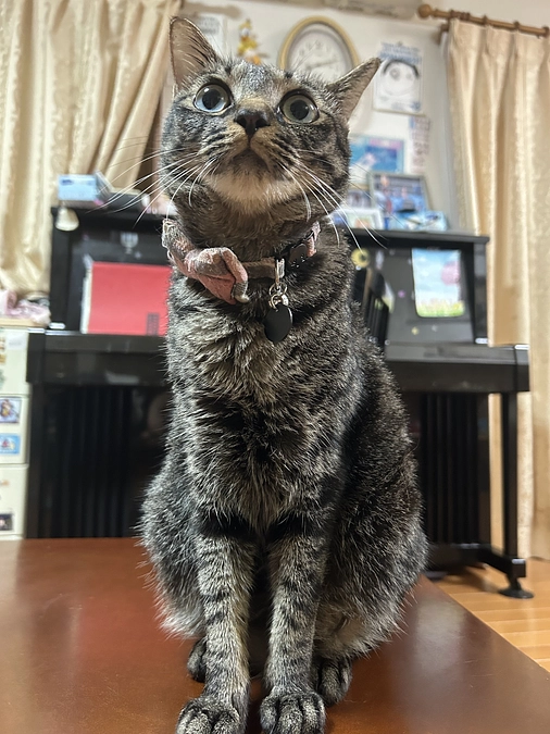 T様　御礼申し上げます。