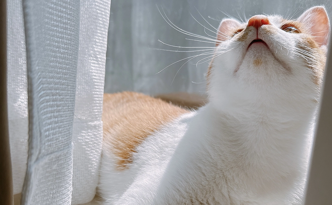 〈 最近のひめちゃんの写真まとめ 〉②