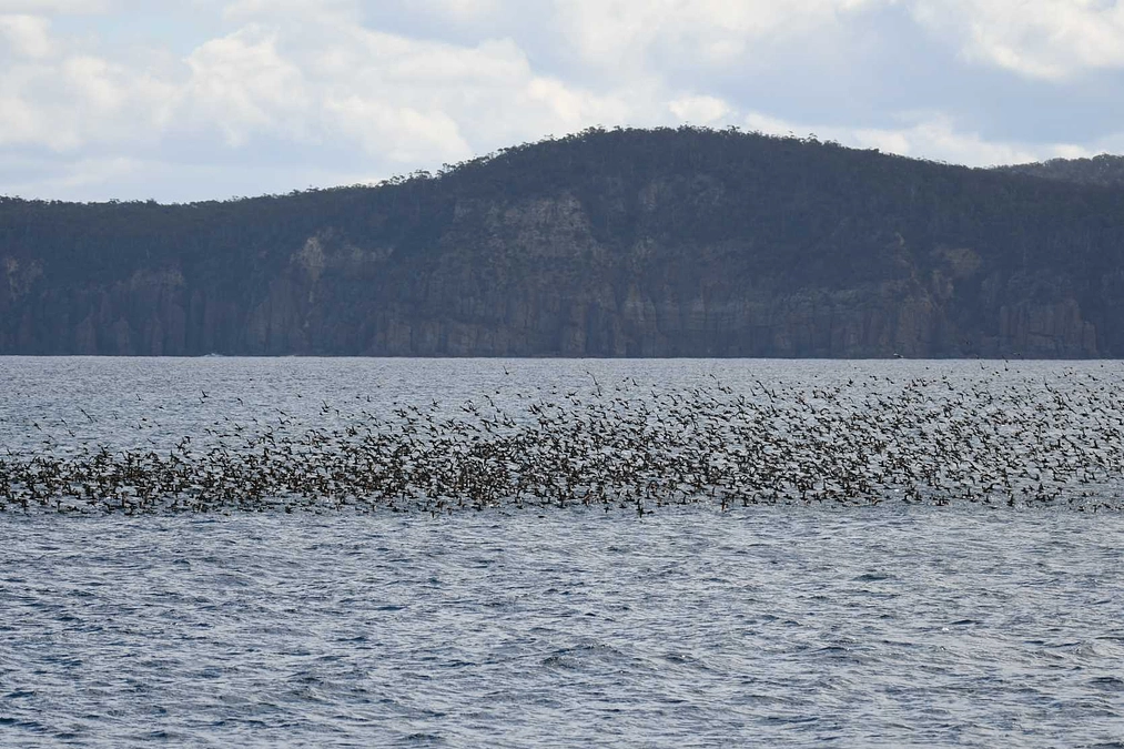 2024年2月6日「キーワード」