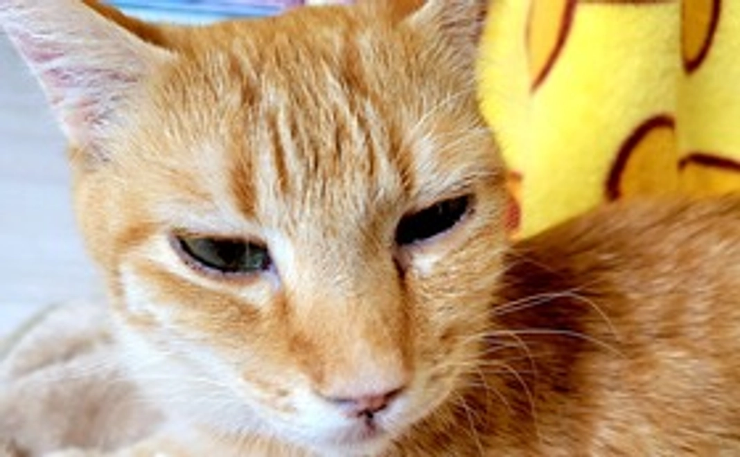 マイケルから細やかな気持ち