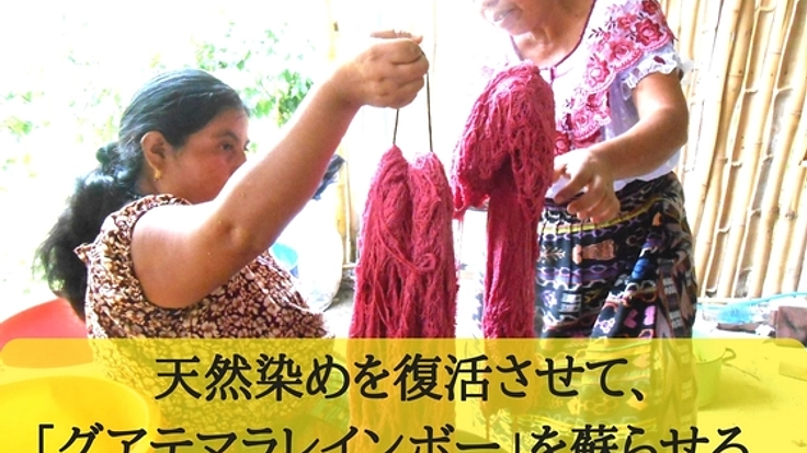グアテマラに手仕事の拠点を創り、失われた「天然染め」復活へ！