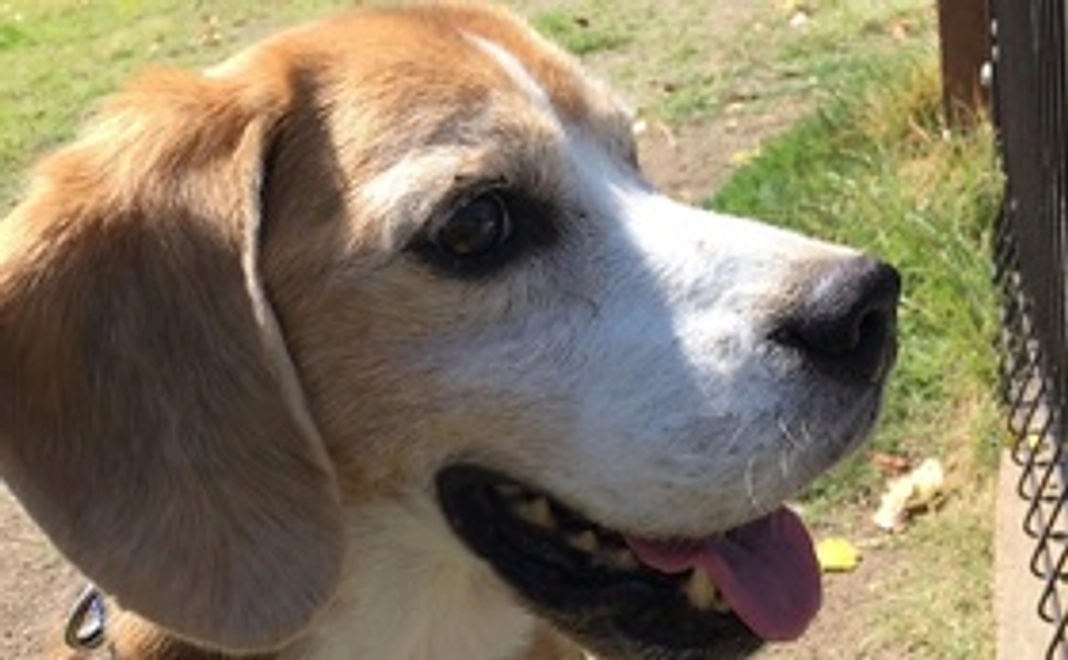 毎月2,000円で継続支援コース（一般、個人向け）　【はぐくみパートナー4】