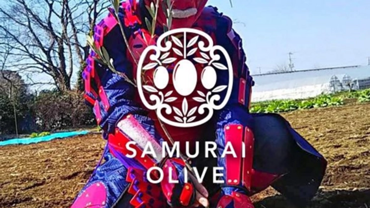 城下町佐倉発「侍オリーブ」で和食にあうオリーブの食文化を発信