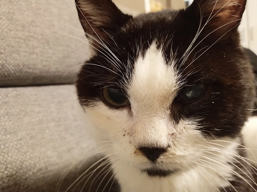 12/24クリスマスイブの腫瘍外来