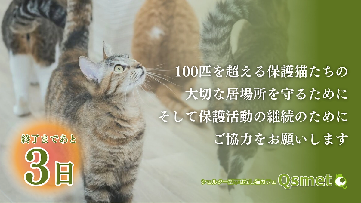 カウントダウン残り3日！ネクストゴールまであと一歩!拡散のご協力をお願いします！