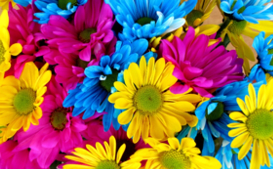 【1万円】花に新たな命を吹き込むフラワーアートを応援!