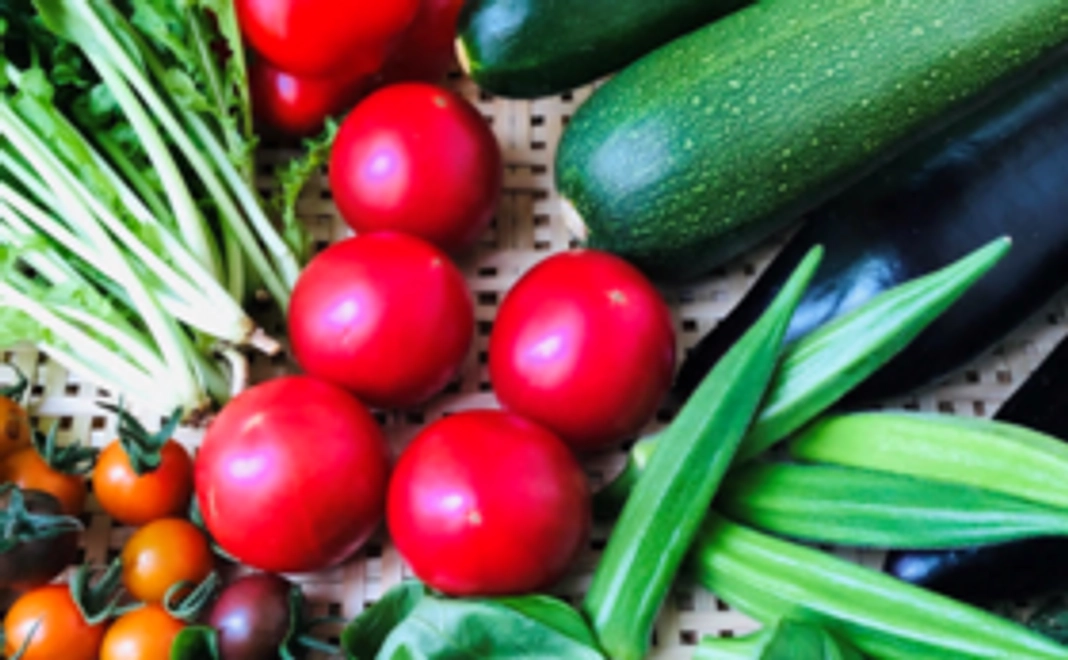 野菜の産地直送10％OFF