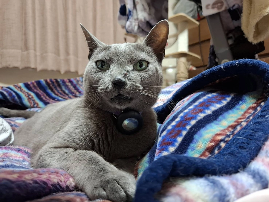 今日のステラの様子です。