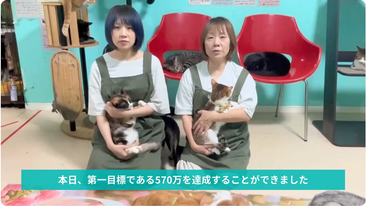 【メッセージ動画あり】第一目標達成の感謝とネクストゴールへの想いをお伝えしたいです。