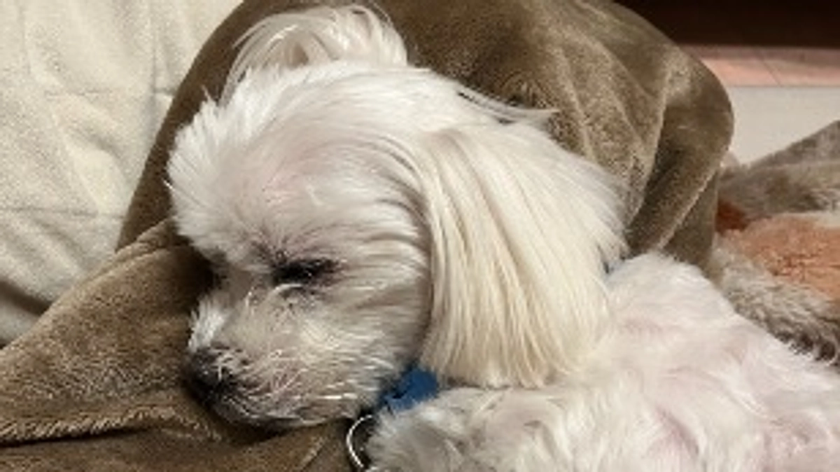 リターン送付させていただきました！