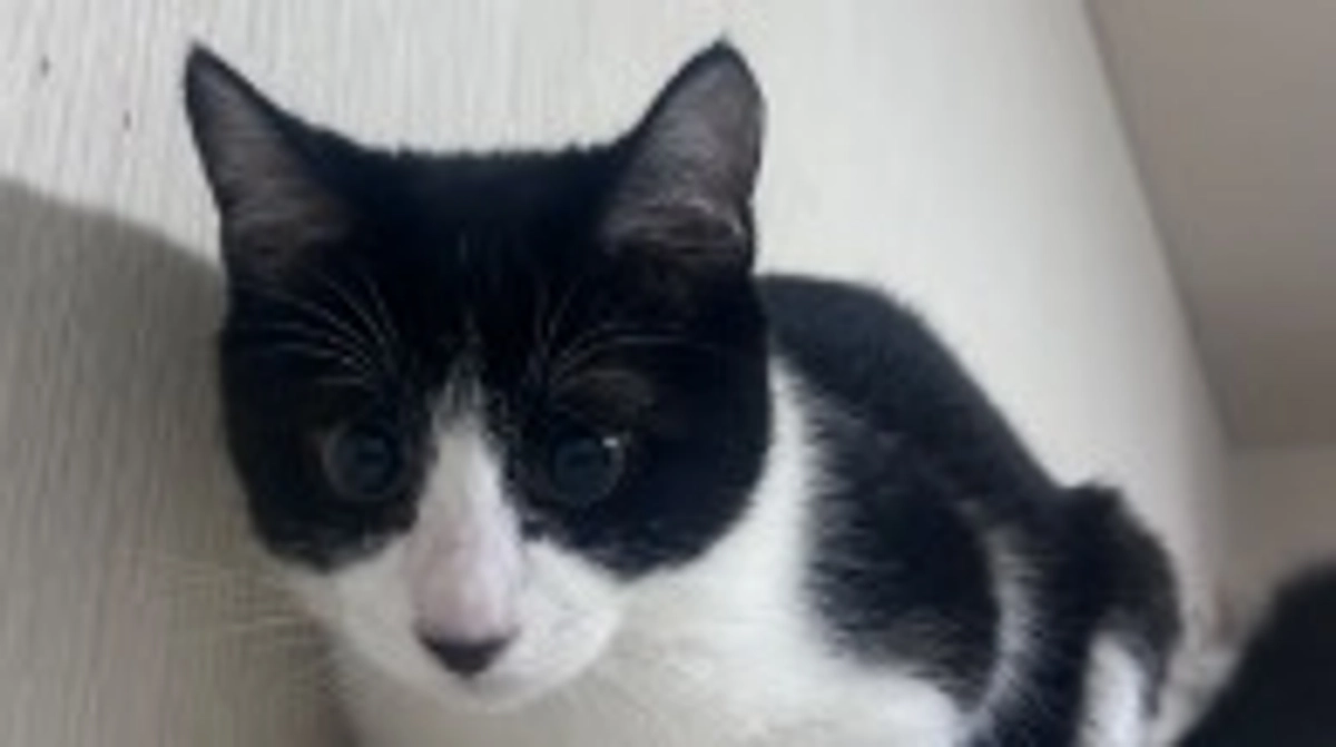 10月21日 〜 日常報告⑤ 〜保護から60日目