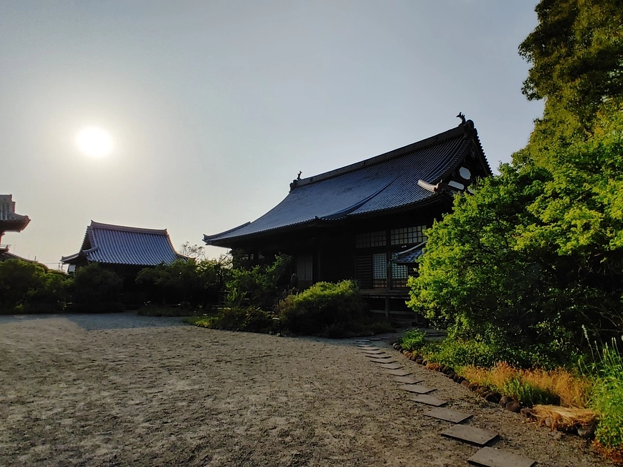 Project Information in English