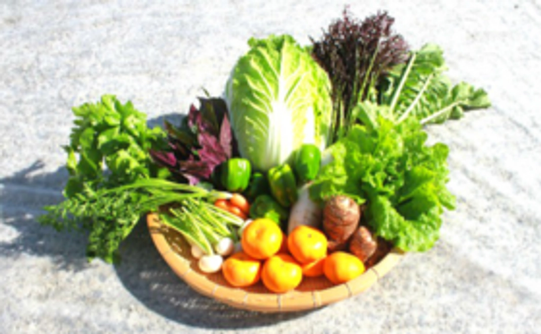 ★野菜・果物のセット★