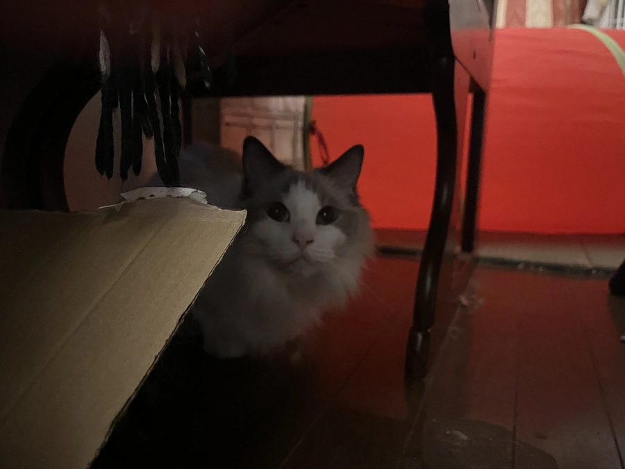 0824の血液検査結果を電話で確認しました