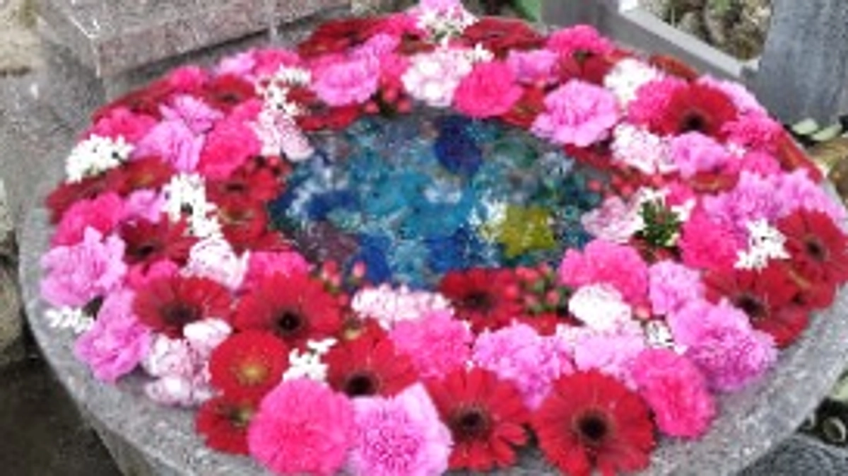 急に寒くなって来ました…闘病犬の冬