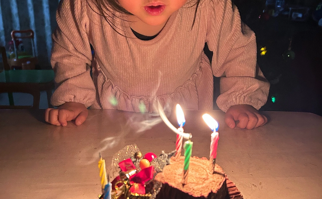 プロジェクト動画エンドロールにお名前を掲載、DVDをお届け！